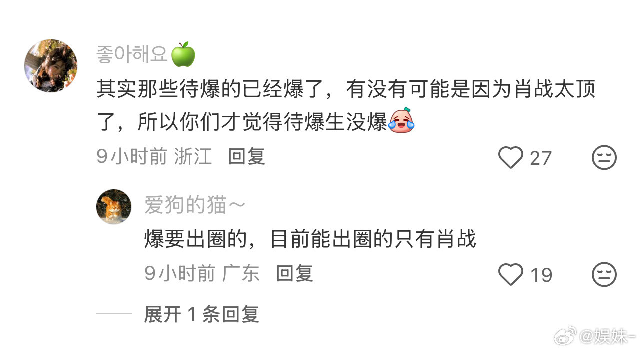 内娱不会有新的顶流了，下一个可能是ai顶流了，然后ai观众看ai顶流全自动爆顶流