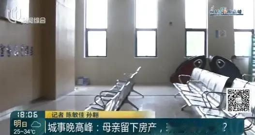 亲妈去世的第二天，表姐就来敲门分房。上海这事儿，完全刷新了我对继承这个概念的认知