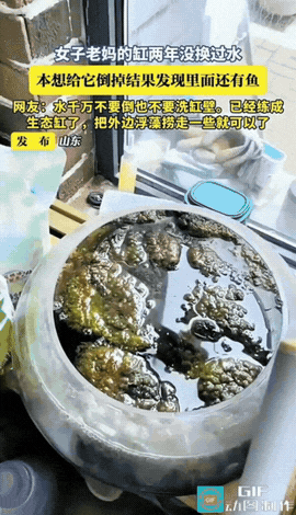 网友震惊了！山东，女子发现老妈放在阳台的缸两年都没换过水了，水里面漂浮着脏脏的东