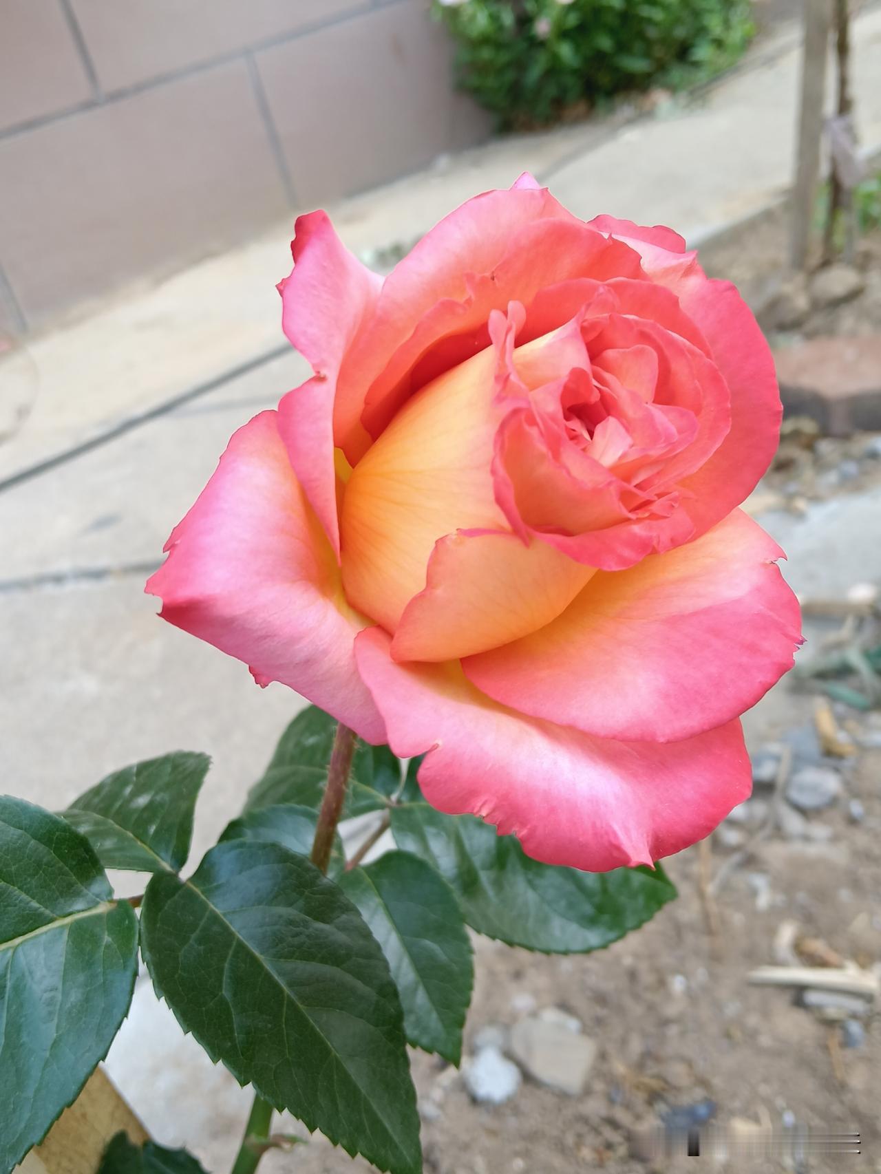 一、不要借钱给任何人。二、听别人说话不要听表面，要听他深层涵义。三、别把