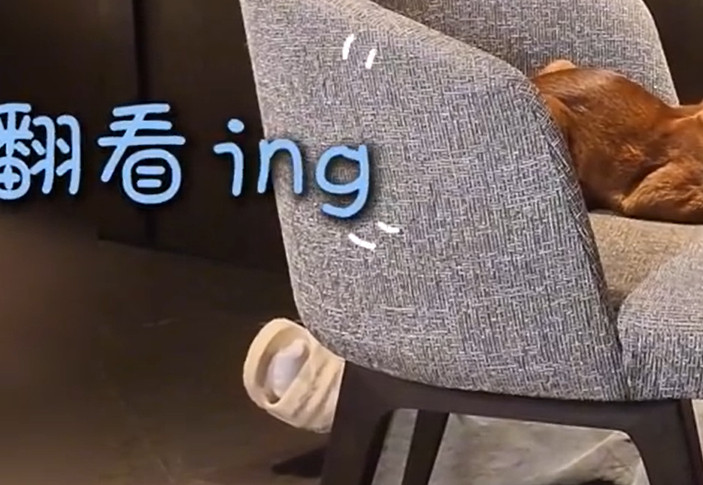 拍照姿势很妖娆的朋摄影师，这个jiojio看上去是使劲儿了给娥们小十一总拍照就这