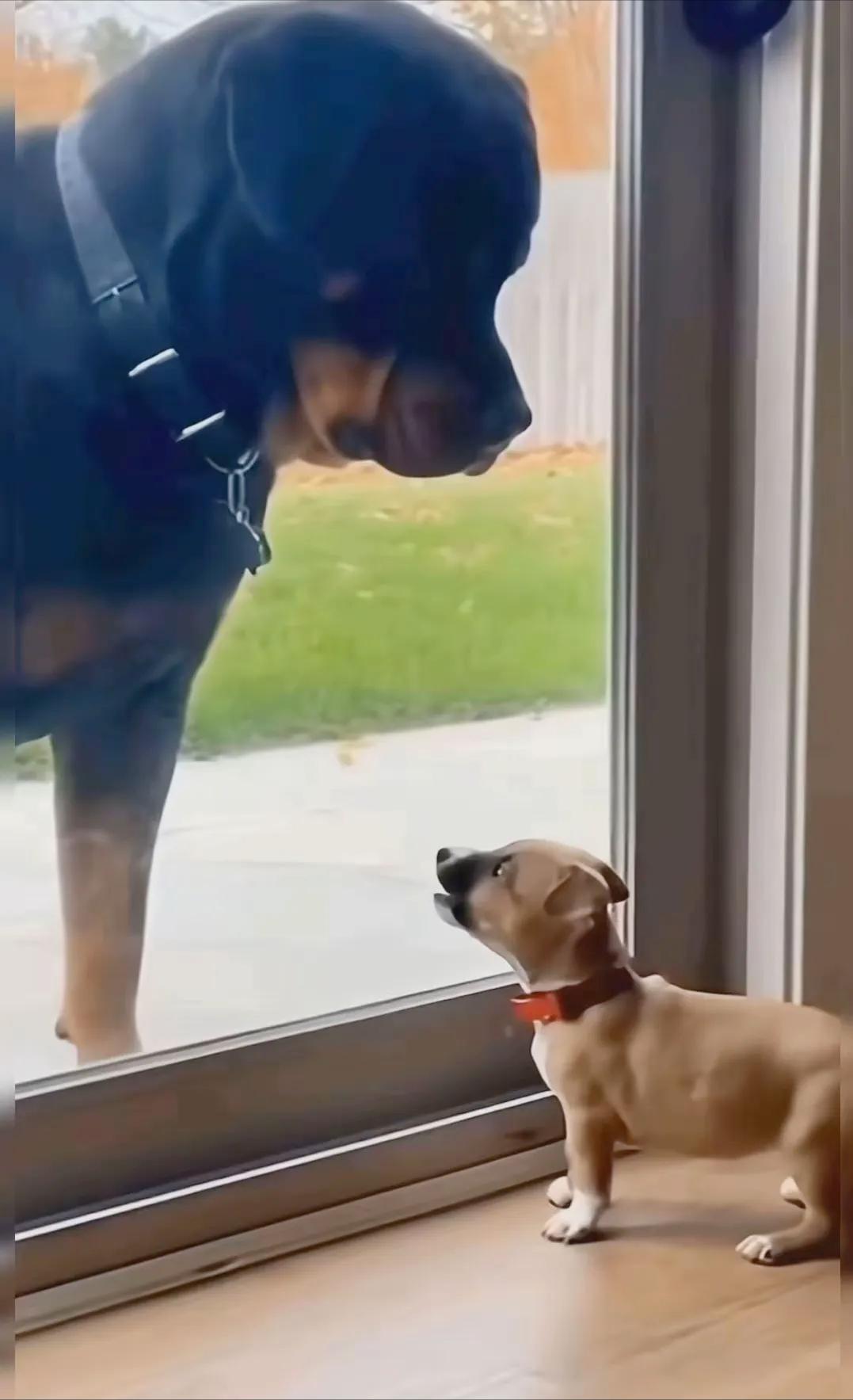 说实话，我想到了美国会收割欧洲，但是没想到用的是这种方式。 美联储的加息周期