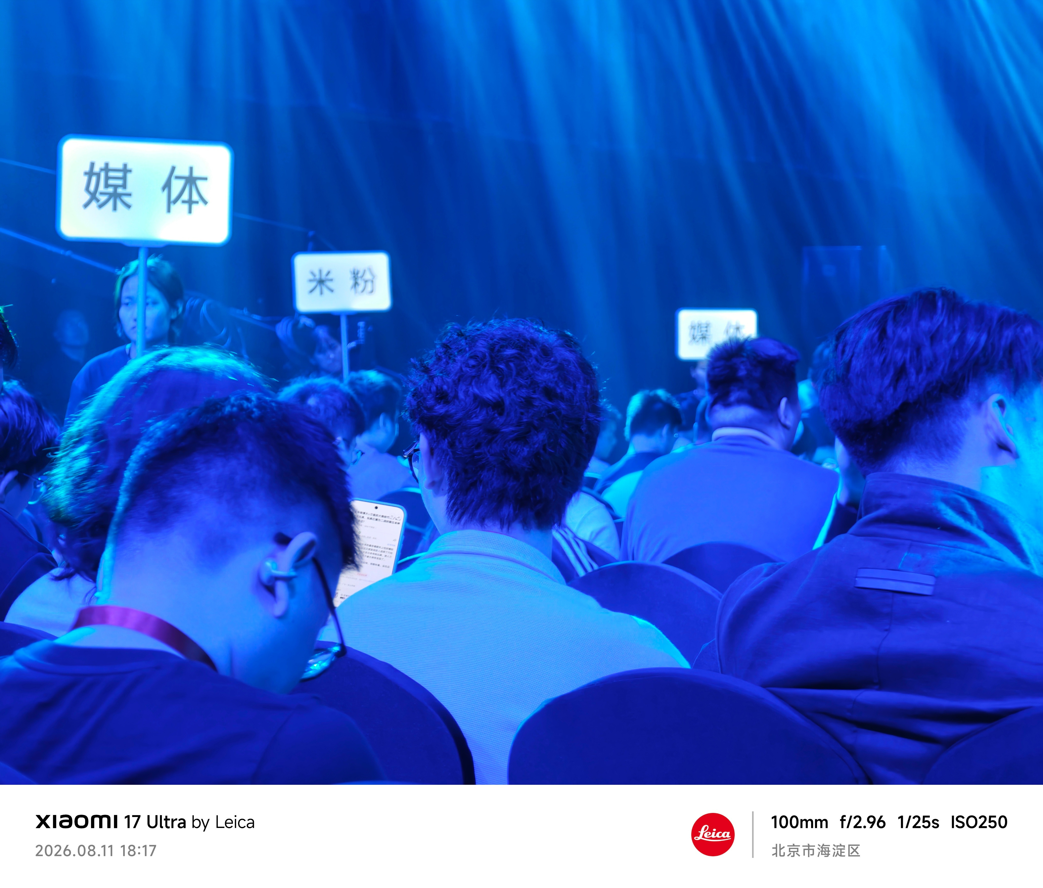 你的毛太卷了，隔老远就能感受到。