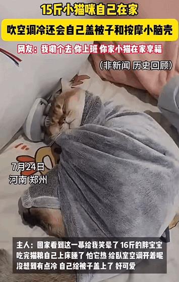 万物皆有灵性！河南，15斤的猫咪自己在家，也太会享受了，吹空调吹的冷了还知道自己