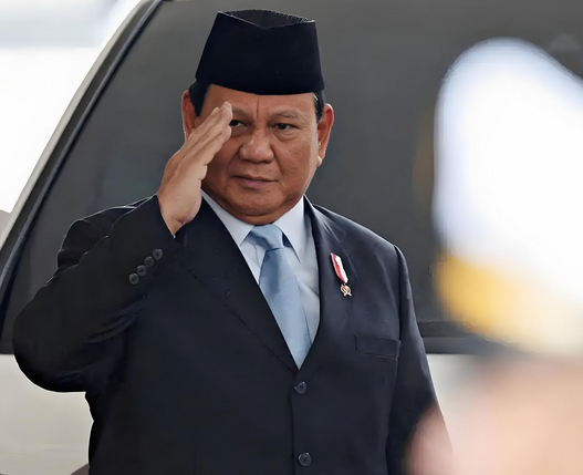 连印度尼西亚都这么给力，看你沈伯洋、八炯、闽南狼等这些毒虫未来还能藏哪里去。1