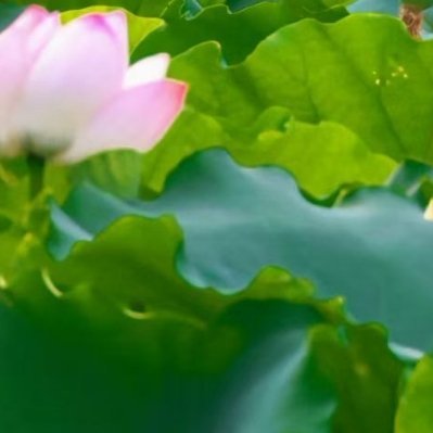每日一善yy阳光信用指路不吞必回勿带🔗做一个正能量的人，对生活乐观有自
