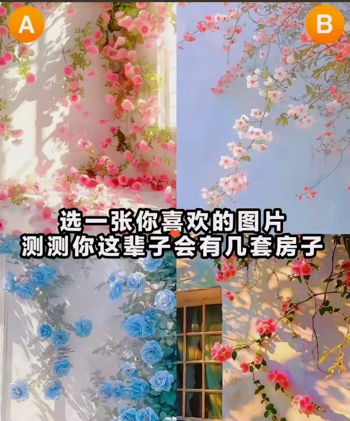 测测这辈子你会有几套房子？下面选择你喜欢的一张图片！解析在评论里面看哦！#