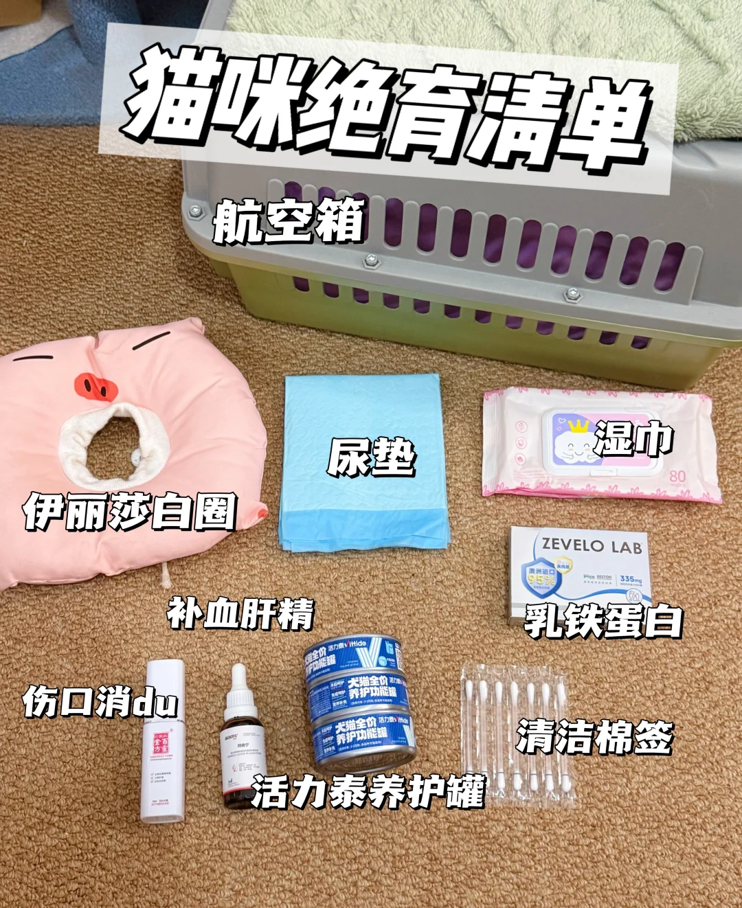 猫咪绝育要做的准备 给大家梳理好了