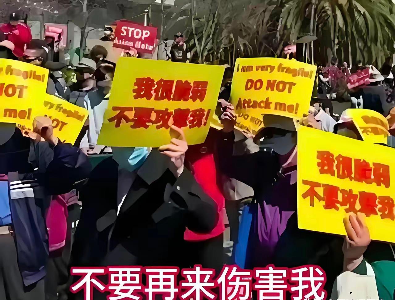 西方把黄种人“驯化成低等人”的套路，从来不是明刀明枪，而是藏在“融入”的幌子下，