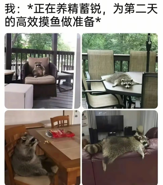 工作摸鱼中