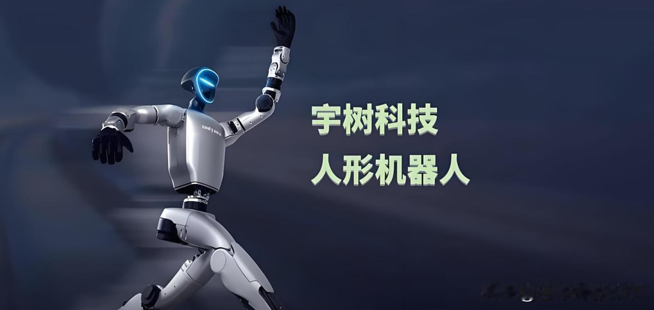 我反复地在宇树科技王兴兴的影像资料，从上市前一直看到上市后的变化，在上市后，我发