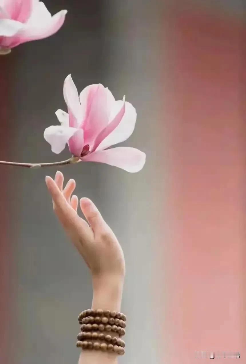 醍醐灌顶的一句话:“你只要敢跟人拼命，敢同归于尽，谁见你都得怂。你一旦豁出去发