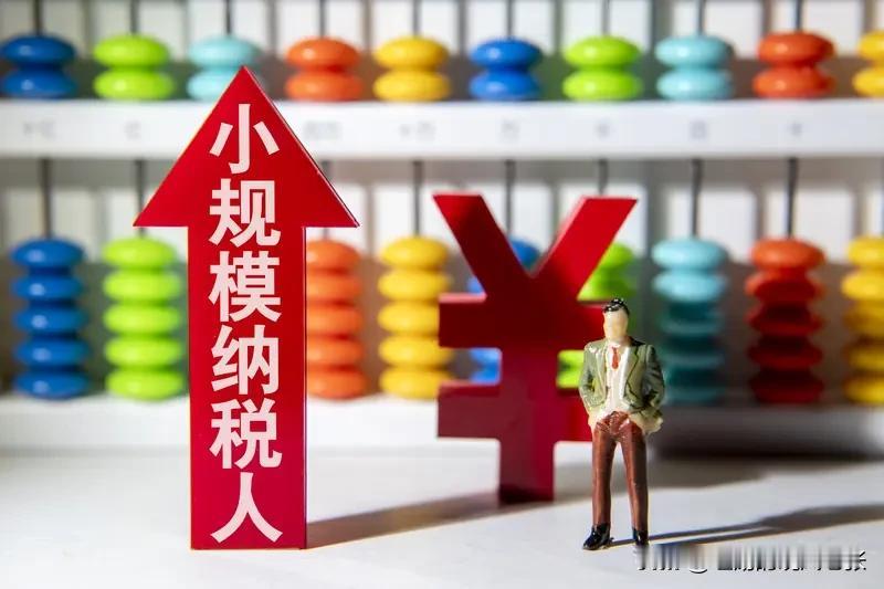 2026年增值税新规对小规模纳税人影响颇大。以往，小规模纳税人享有一定优惠政策