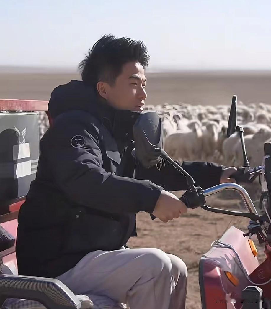 董宇辉这次宁夏溯源，小羊可爱，羊肉鲜美，骑着三轮车追着羊群跑，羊群白茫茫一片，画