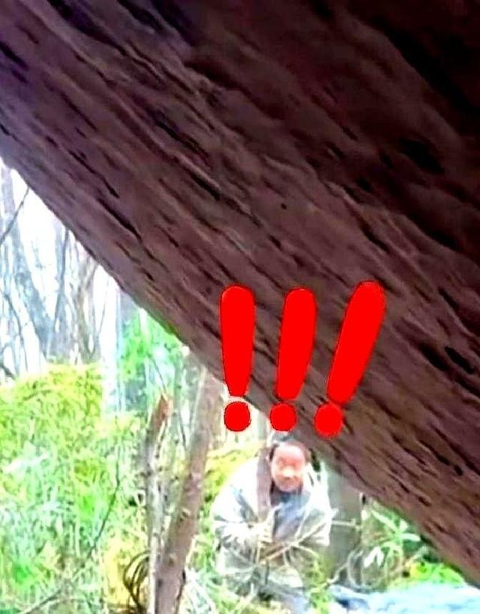 林北在《荒野求生》零下夜把白天偷藏的干柴一点，镜头里秒变“火神”，别人冻到抖，他