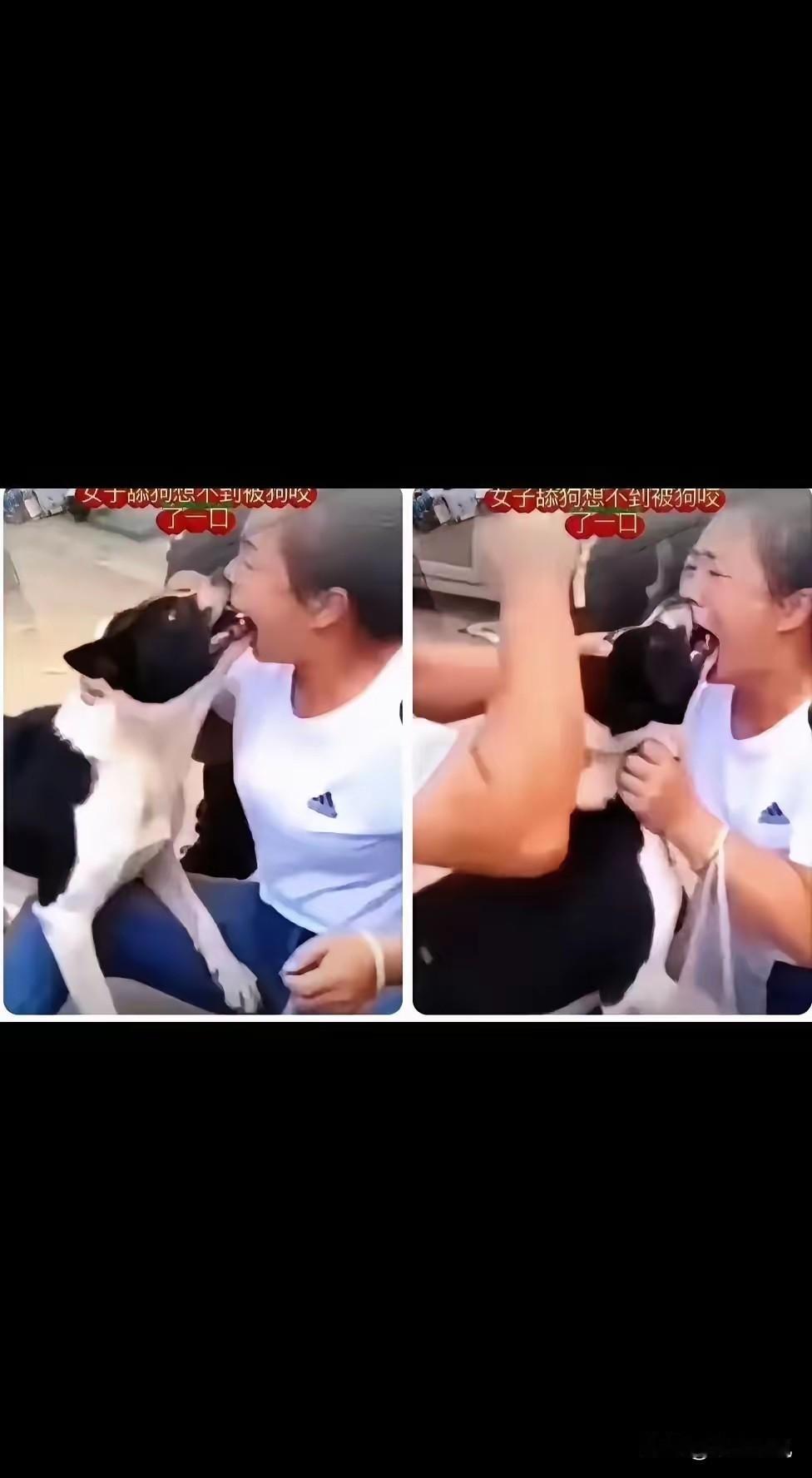 恐怖，女子亲狗，反被狗死死咬住，任边上的人怎么拍打狗头也没用，狗就是不松口。这个