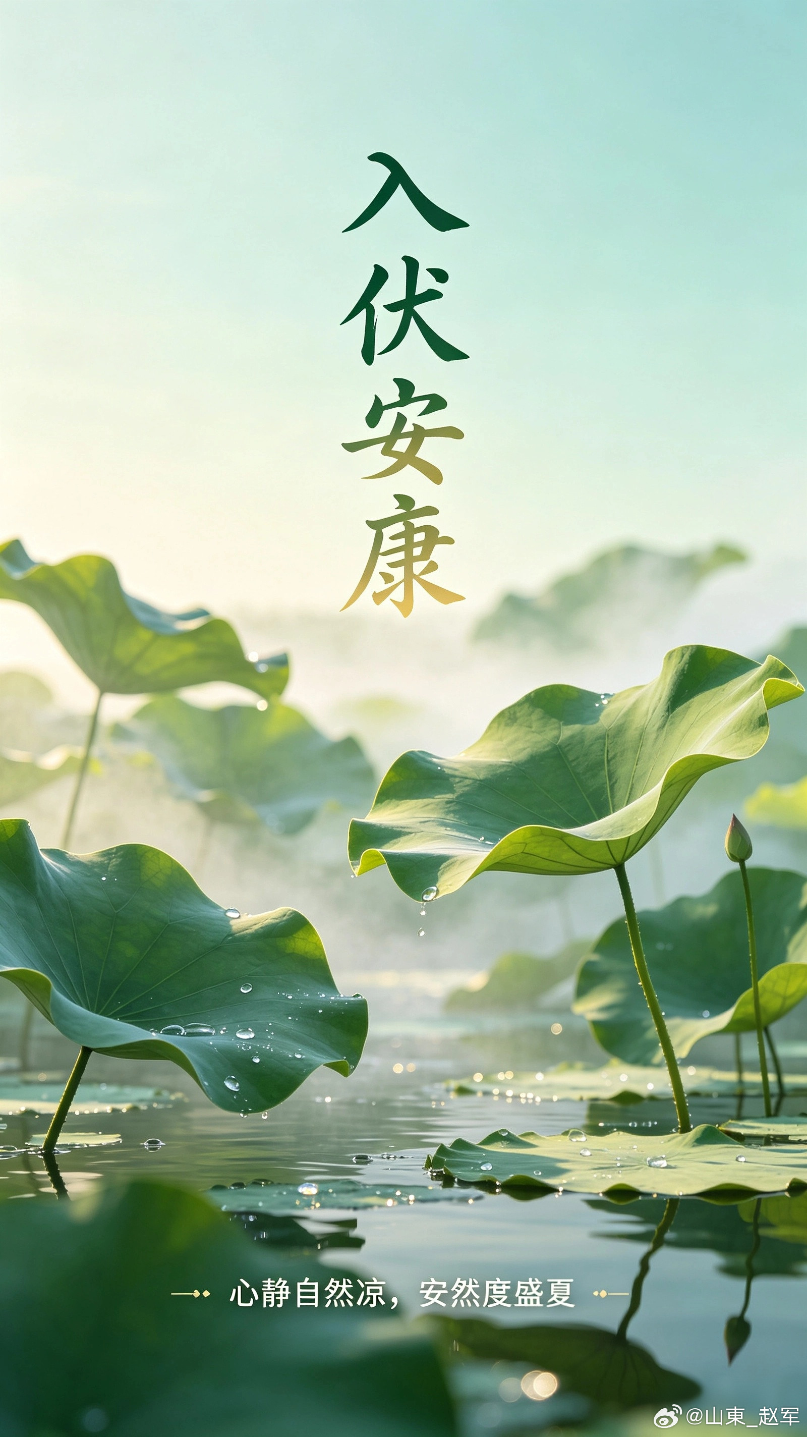 一两枳实二两术，一消一补藏乾坤：千年脾胃方的平衡大智慧在中医圈，常能听到一句朗朗