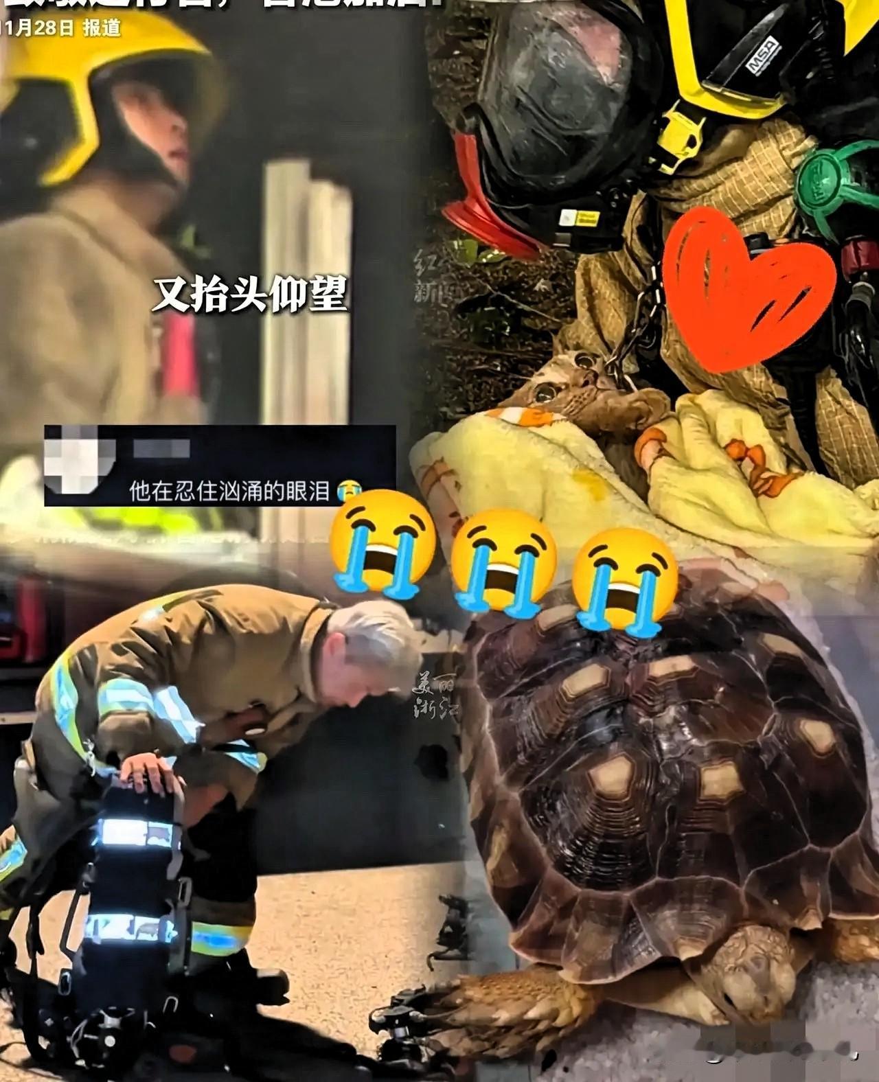 香港那场火，烧穿了很多东西。香港那场火灾，消防员奋战在火海中，不顾一切冲进去