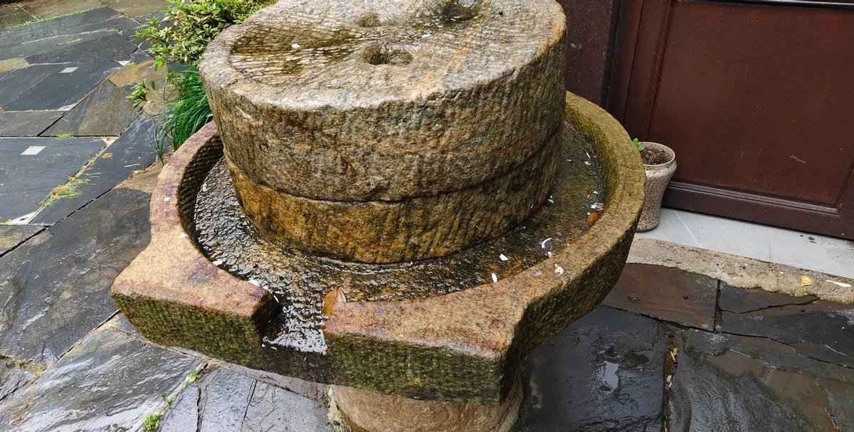 刷到个帖子，说奶奶是上海大户小姐，爷爷是穷小子，靠媒人撮合成了亲。婚后奶奶连生