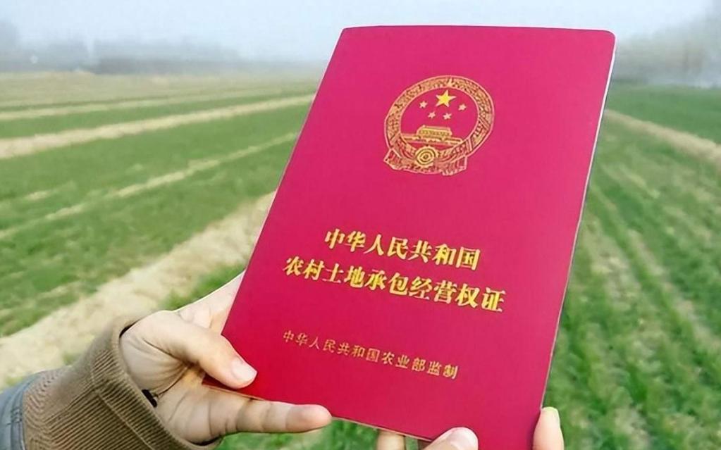 中央定调：10月1日起，农村基本农田将迎来新禁令，涉及家家户户！新规说了，永久