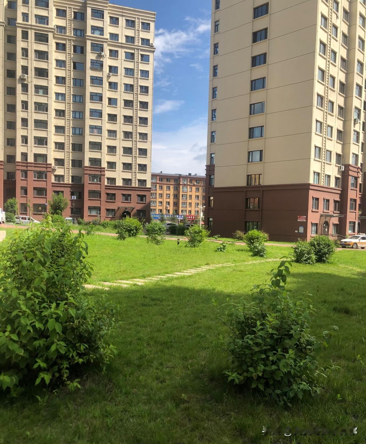 朋友上个月去鹤岗看房，回来我问他是不是真像网上说的几万块能买一套。他直摇头