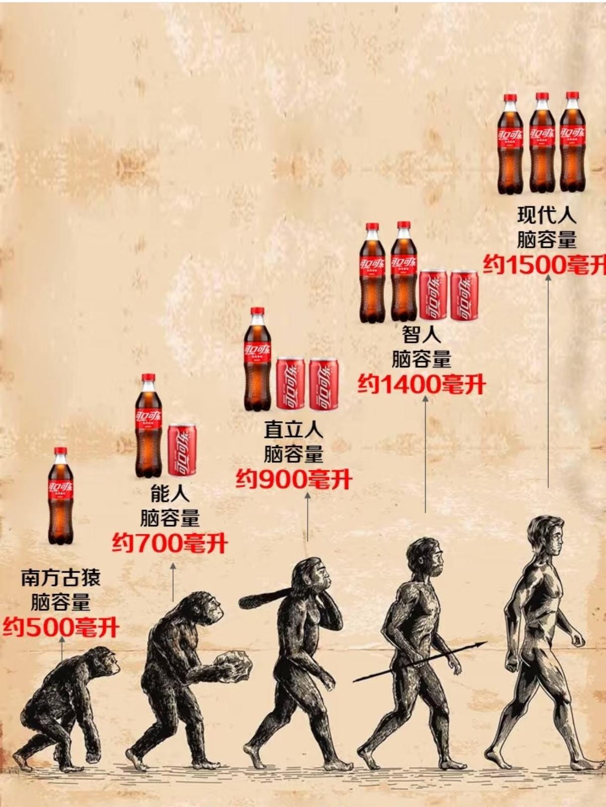 人类突然从地球消失，5000万年后，会不会有新的“人类”站在这片土地上？答案大概