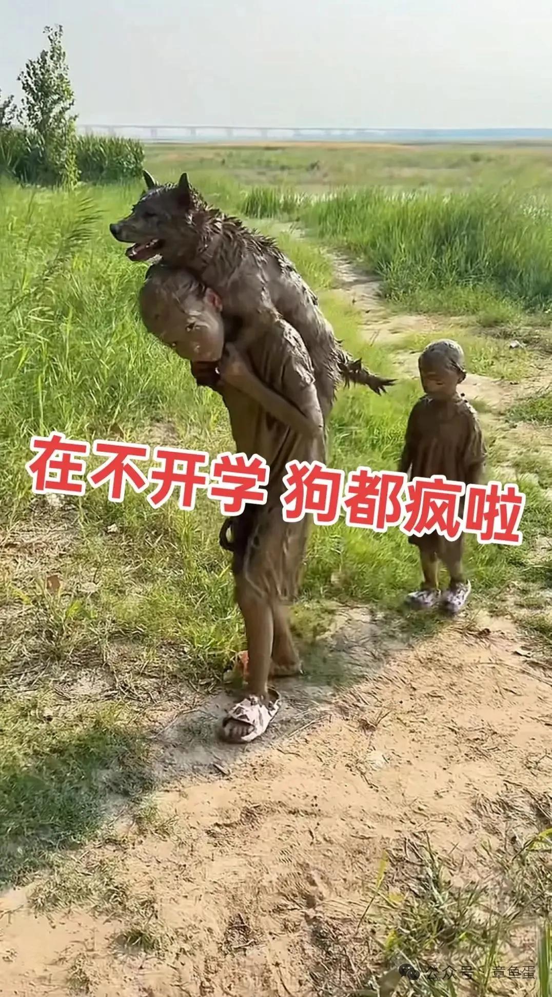 再不开学狗都疯啦！