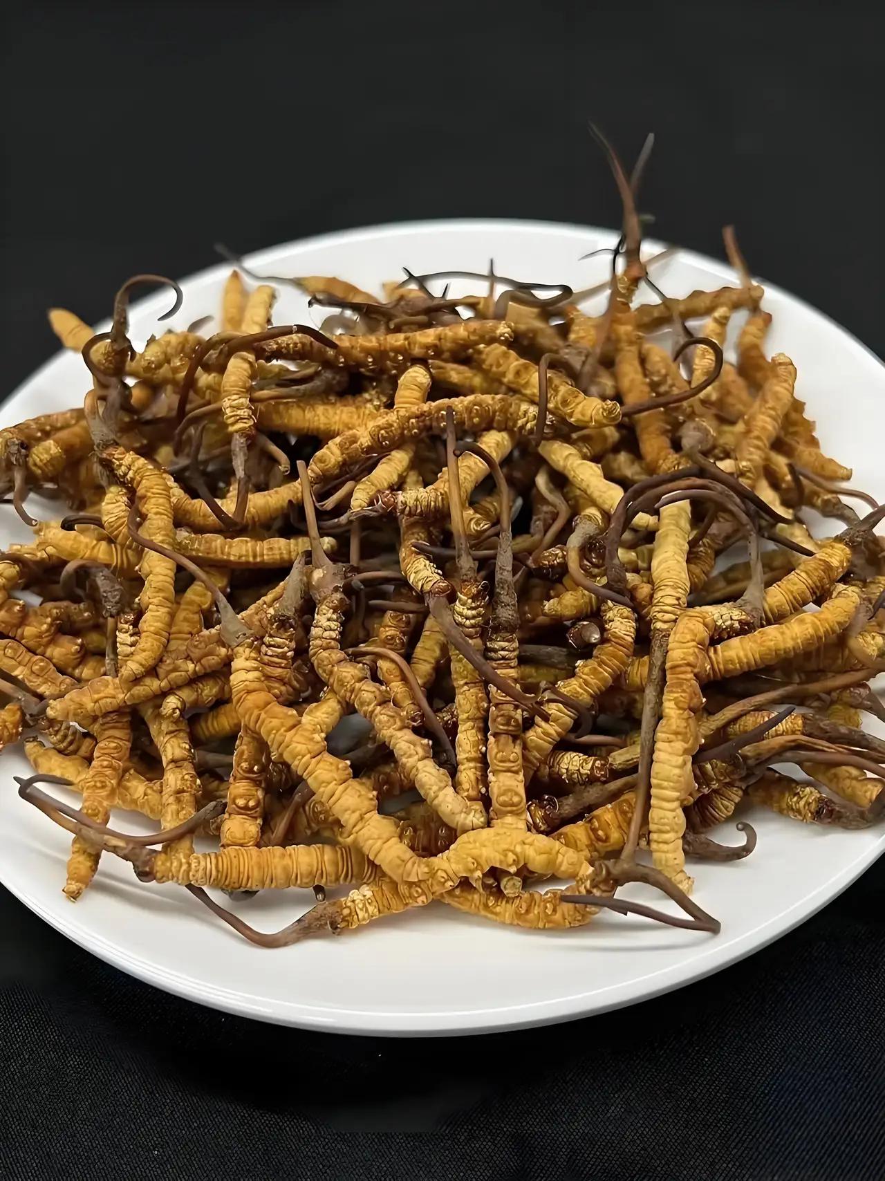 怒喷！胶水冬虫夏草横行！中药为啥越吃越没效？今天把底裤扒干净！最近，朋友圈和