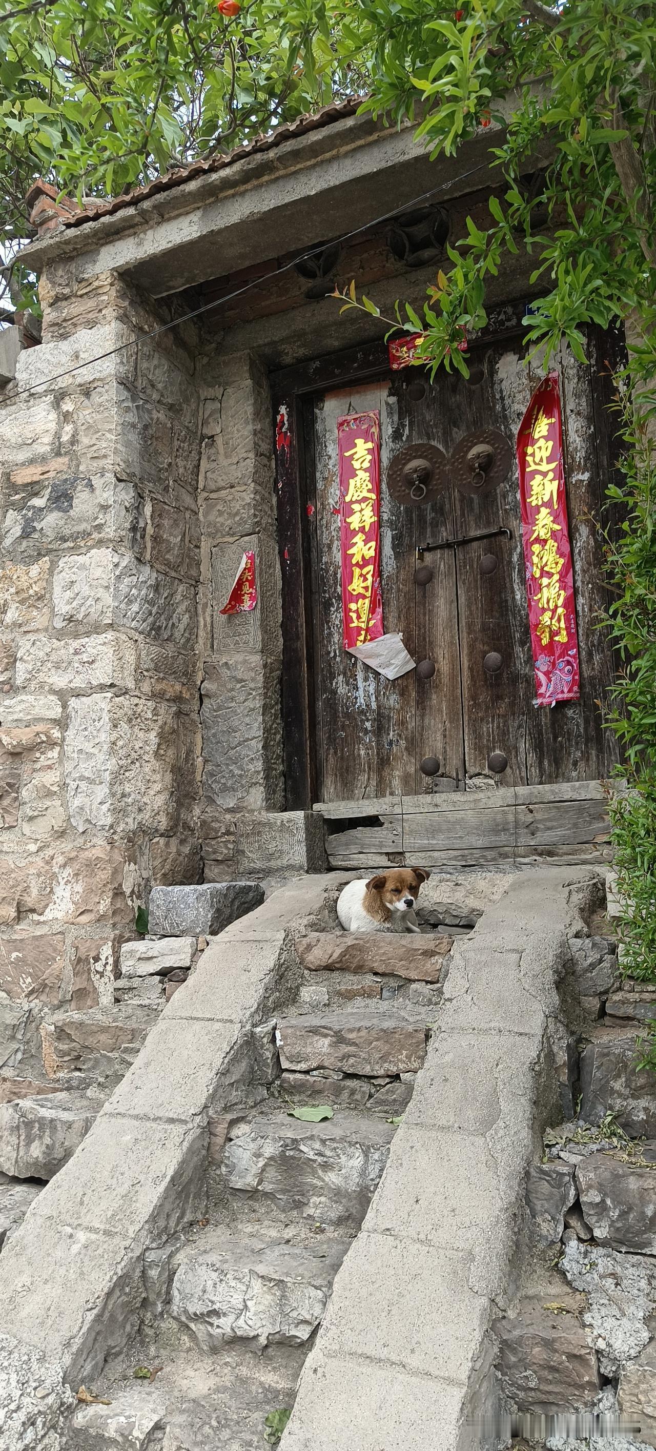吃亏是福，是人生的通透智慧常听人说“吃亏是福”，这从不是懦弱妥协，而是历经