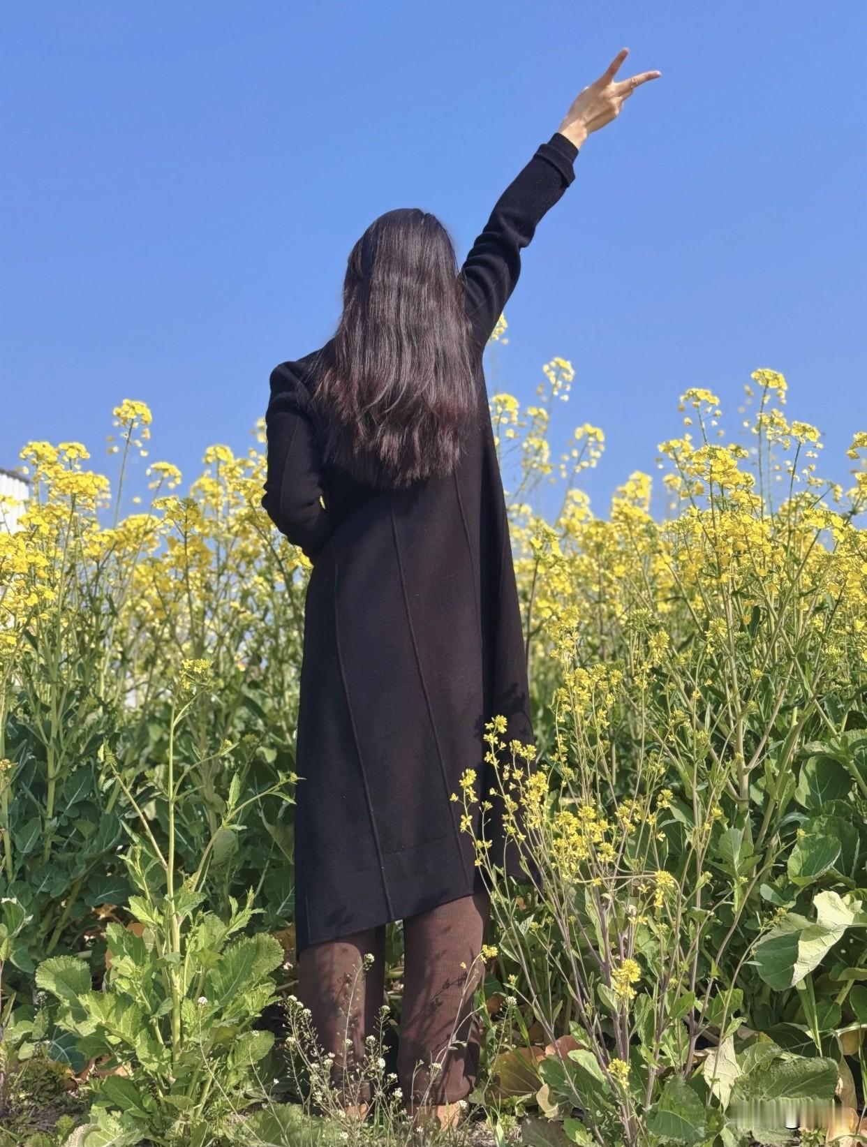 分享随手拍的美照一个人站在油菜花田里，手比V字。