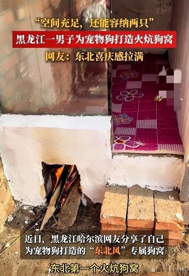 暖心又搞笑！男子给狗烧炕狗窝“仙气”飘飘近日，一男子担心自家狗狗冬天受冻，特