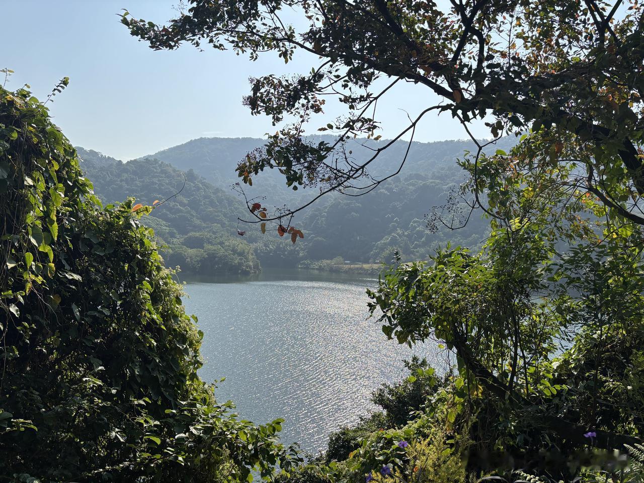 什么是情绪价值正面情绪价值:尊重、肯定、欣赏、赞美、鼓舞、陪伴、珍惜以及