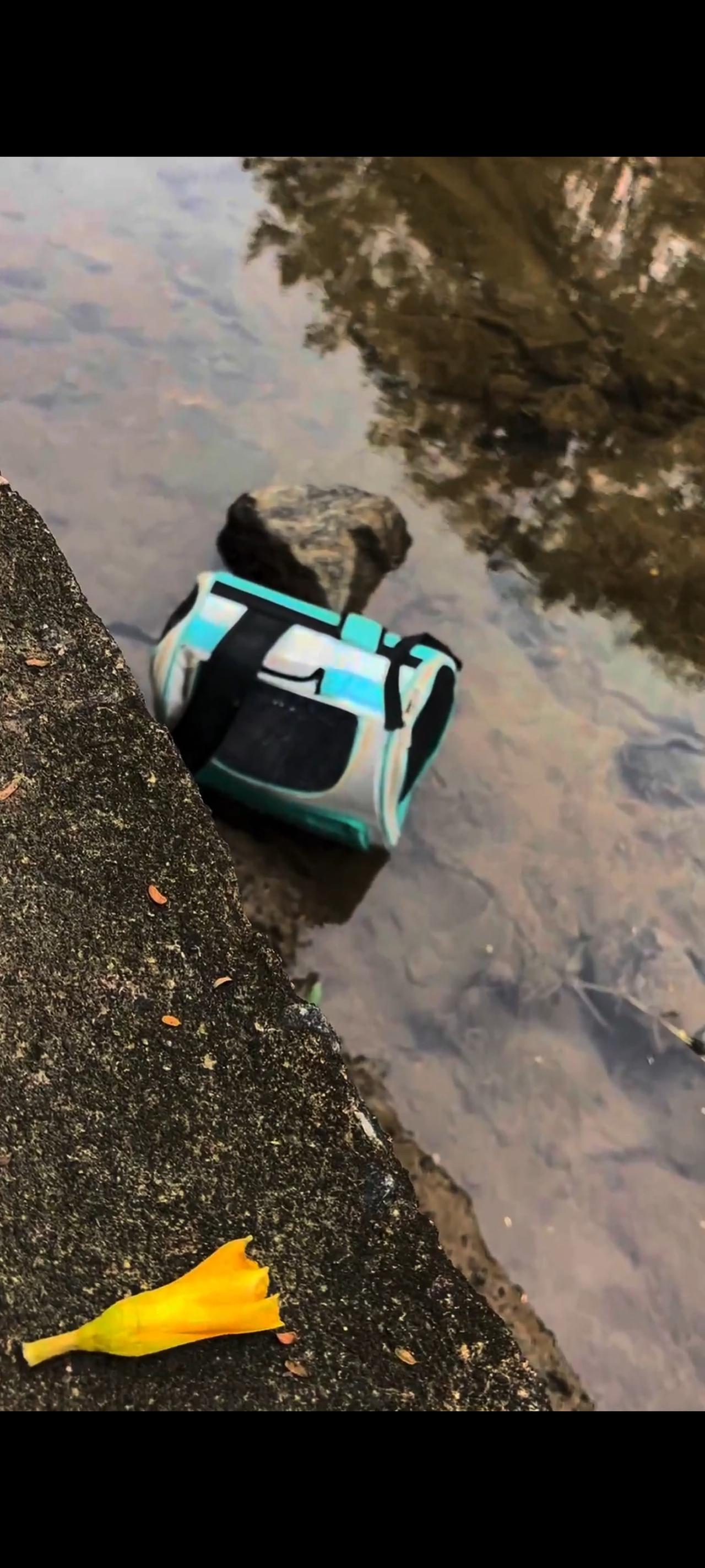 一位小姐姐在路过河堤旁边的水沟的时候，突然隐约的发现，湖水里面竟然有一个类似于手