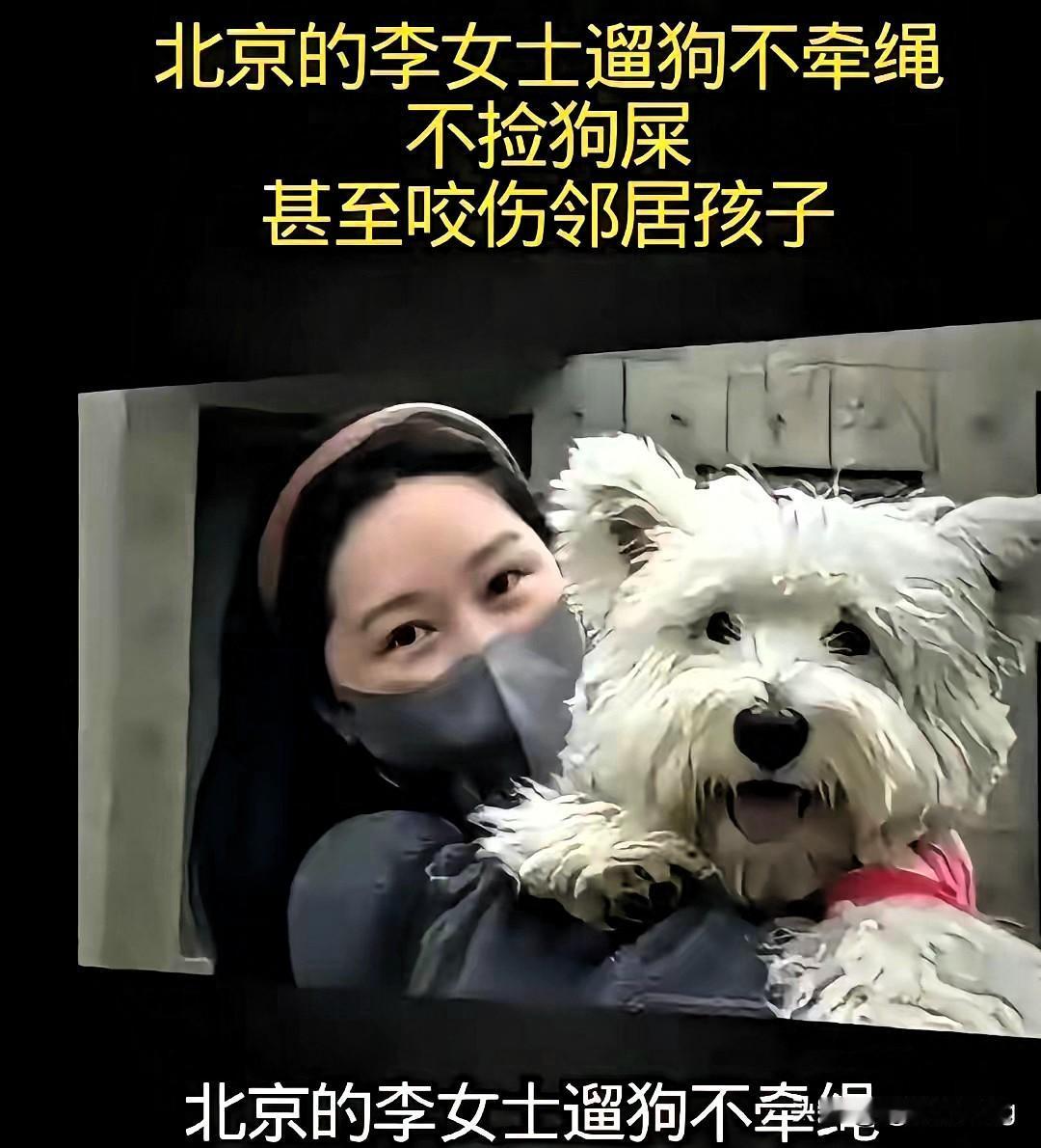 别再瞎猜李女士“为狗追凶”是演戏了！真相根本不是你想的那样！投毒者在小区放剧