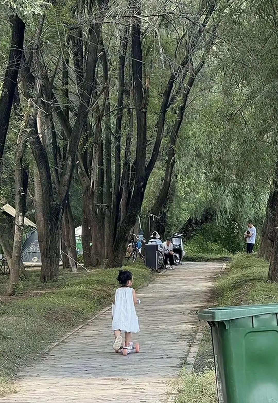 吉林的小毛团已经圈粉无数，有人不远千里专程去公园等她！越来越多人，一下就认出了