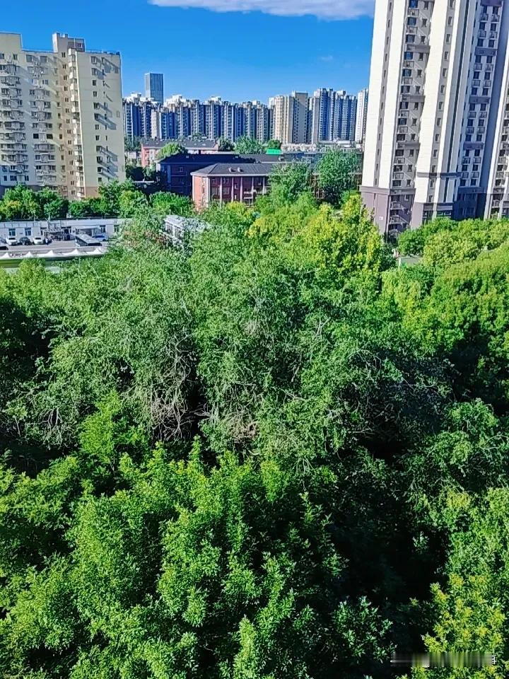 这几天北京的天气特别好蓝天白云好像几年前只有草原上才有昨天还出了彩虹小