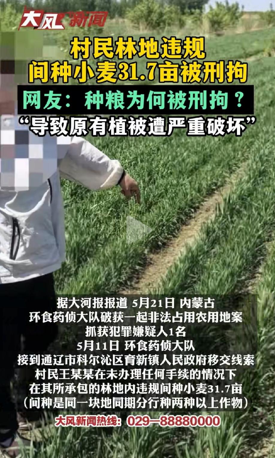 冤不冤？内蒙古通辽，一村民看到承包的林地间有不少空地，觉得土地闲置太可惜，就在林