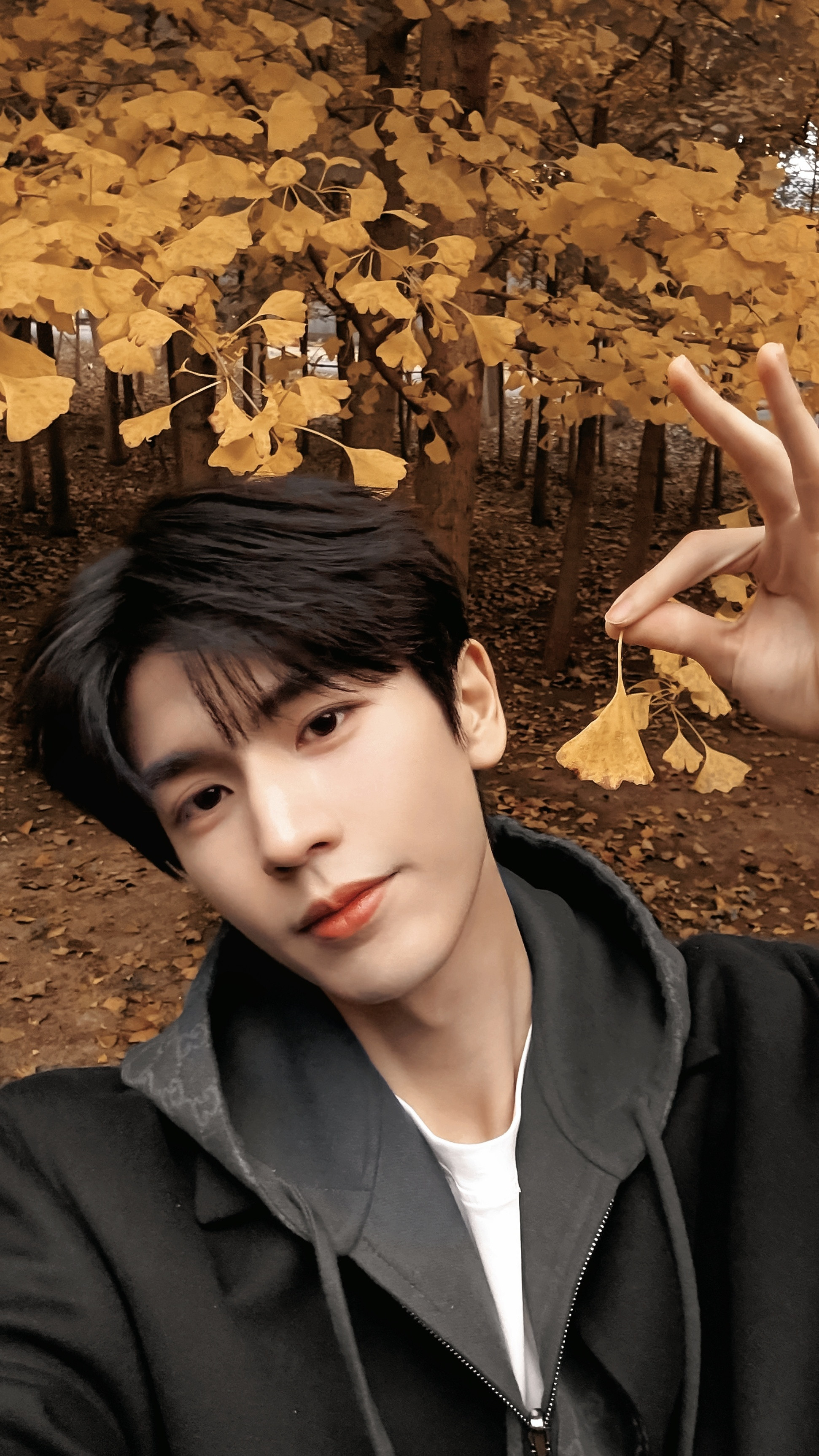 张凌赫就是帅得很权威啊！！看的人心情大好！！老公级别的🥰