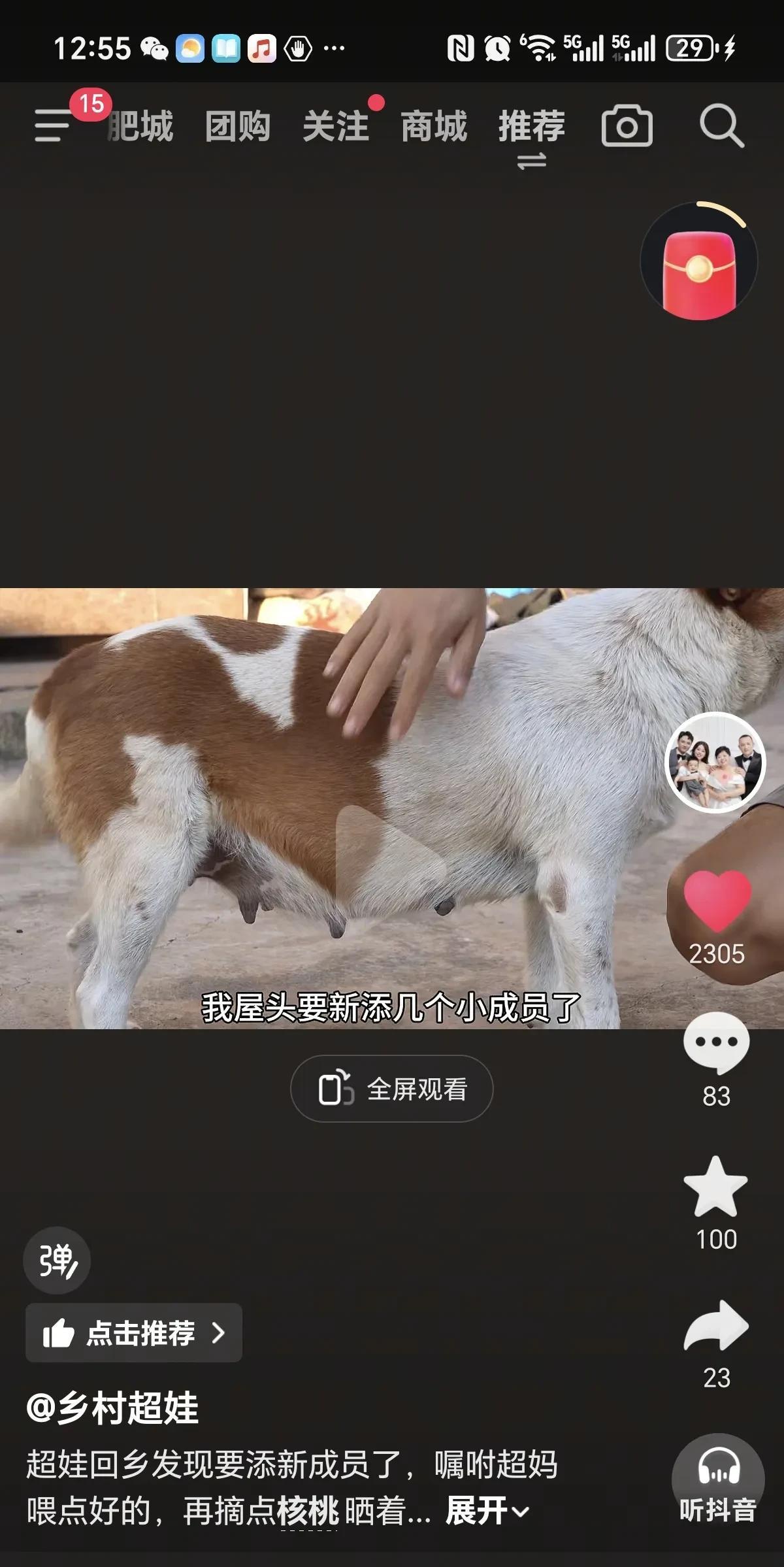 乡村超娃家要添新成员了，这是小米怀二胎了吗？这下大家不用担心超娃离婚了！超