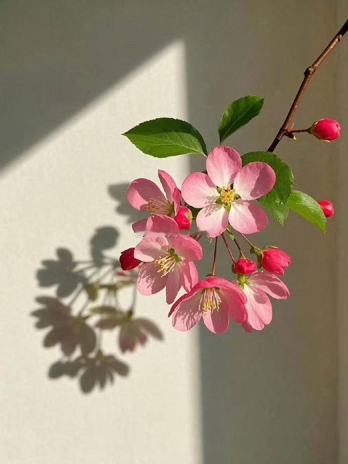 一些让会你有恍然大悟的句子.常常是最后一把钥匙打开了门。——钱学森做你自己，因为