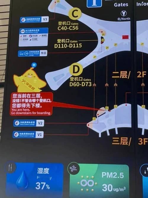 最近北京大兴机场的指路牌火出圈了！标语不再是冷冰冰的“箭头+地名”，而是变成了自