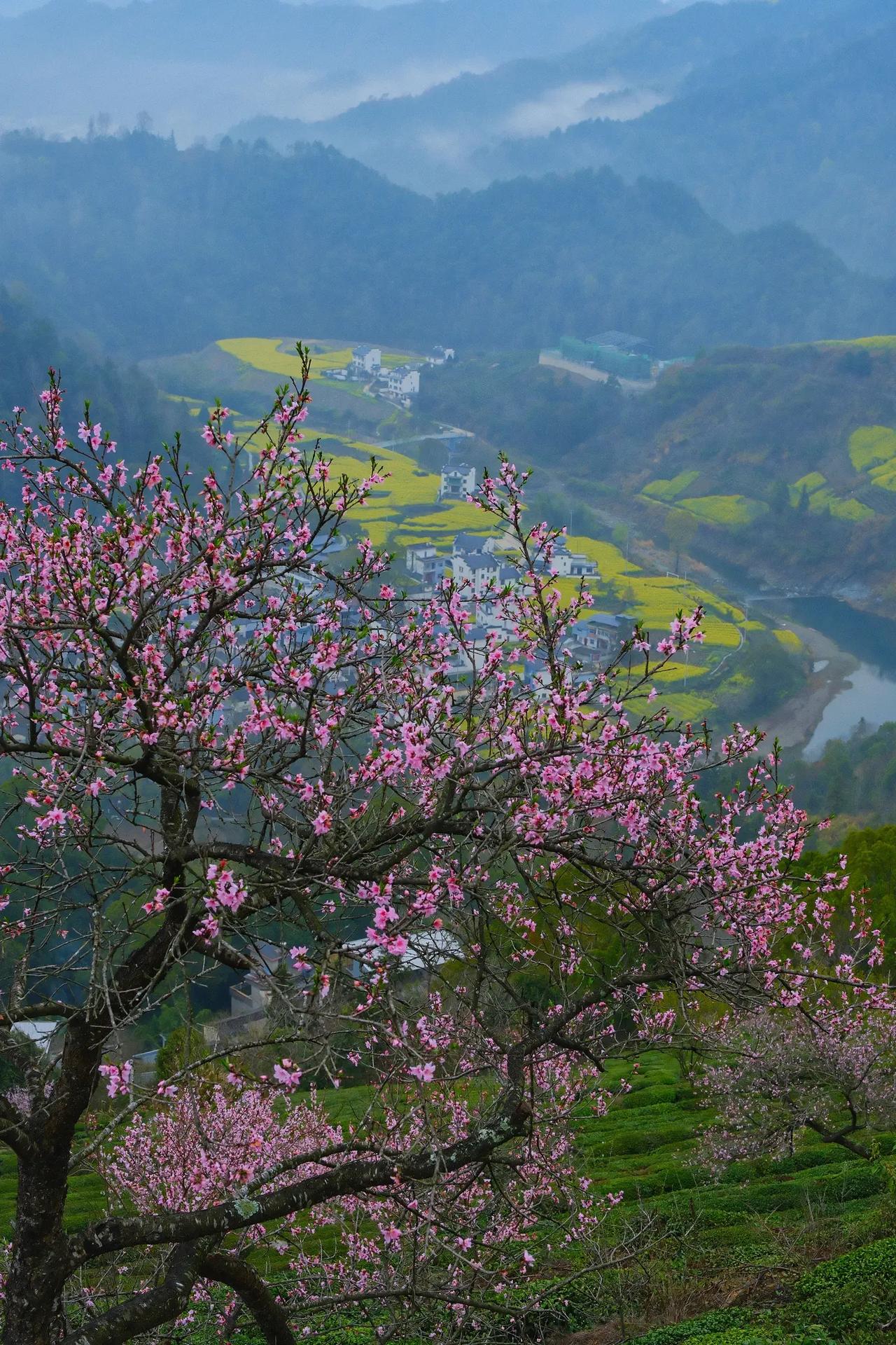 今天我对孩子发火了。为何发火呢？原本和他说好只用手机半小时，可趁大人不在家，他玩