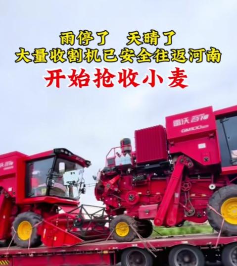 你相信吗？河南抢收小麦从不缺收割机！为啥外省收割机纷纷奔赴河南抢收小麦？原因