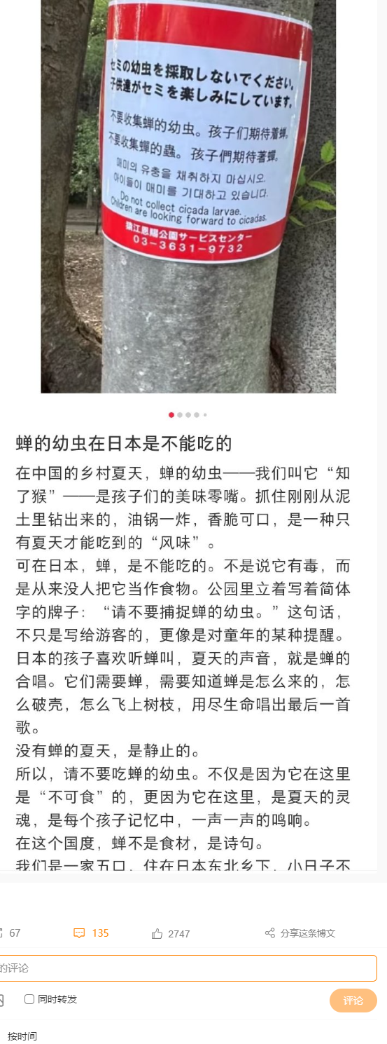 日本不吃蝉的幼虫是为了给孩子们夏天的期待他们全社会热衷于吃生鱼片，是为了报复海