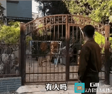 院子里挂满了香肠，一条狗正在偷吃香肠，院子外的一个男子赶紧喊主人，告诉他他家的狗