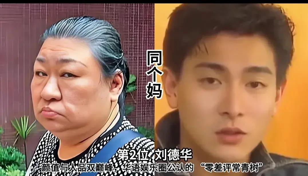 同一个妈妈生的颜值差距怎么这么大呢。刘德华的帅，那是公认的，再看刘德华姐姐的颜