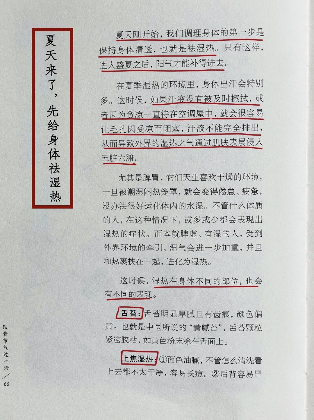 立夏到啦，抓住时机正确去湿热
