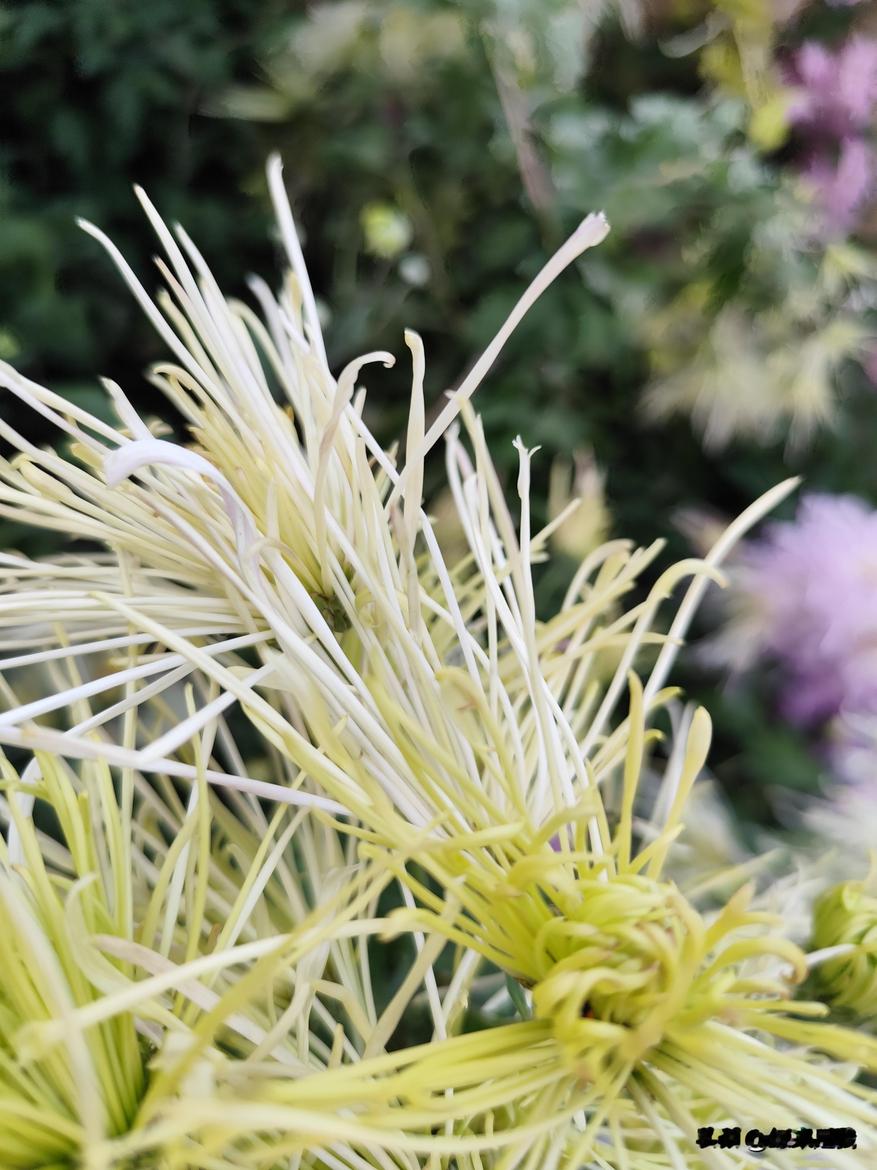 夫妻夜话果然是被窝里的话最真！老公：明天你不要去儿子家啦，满打满算...