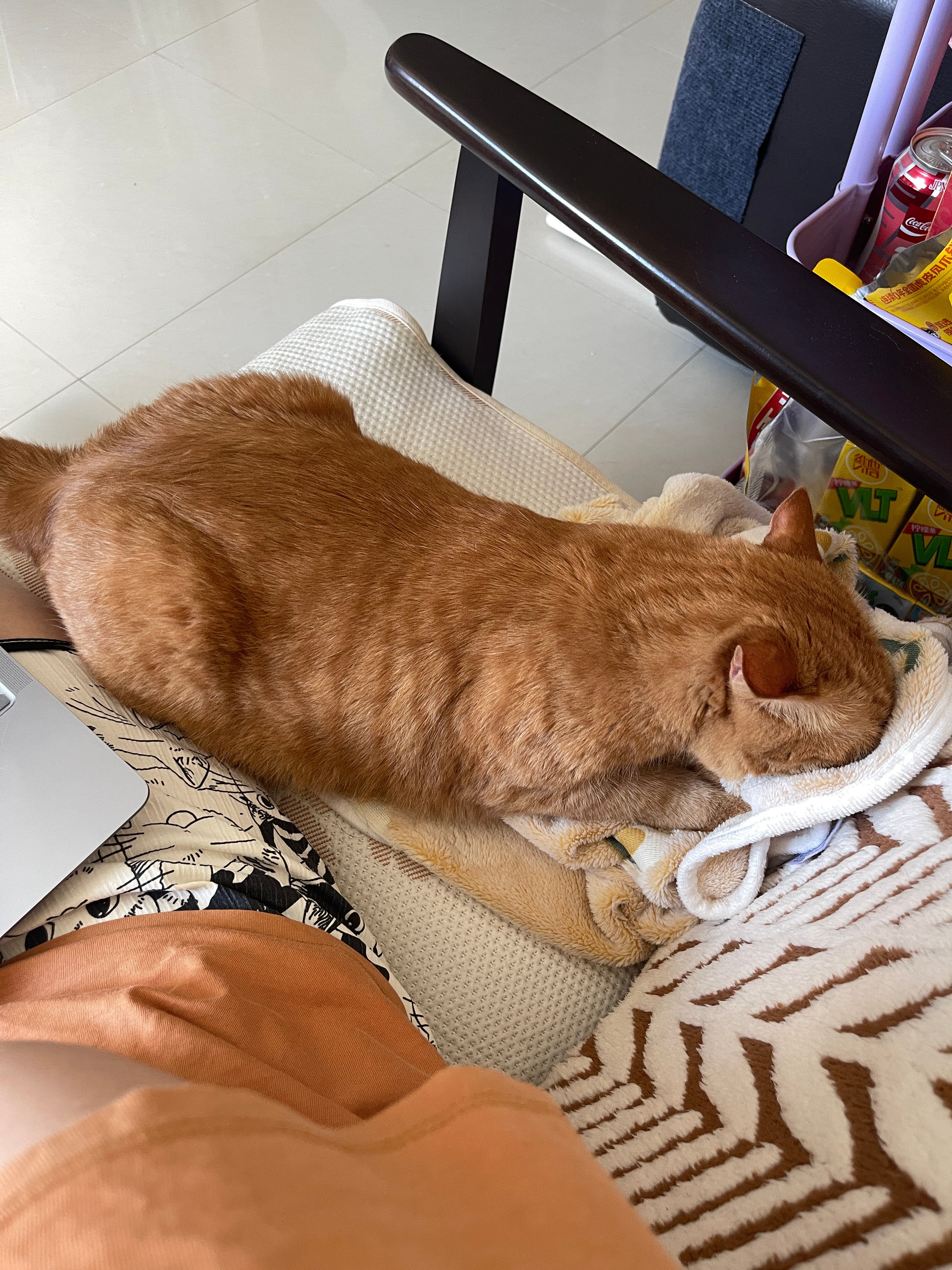 碗猫用脚丫踩出来的嘿嘿宝宝想说什么呢