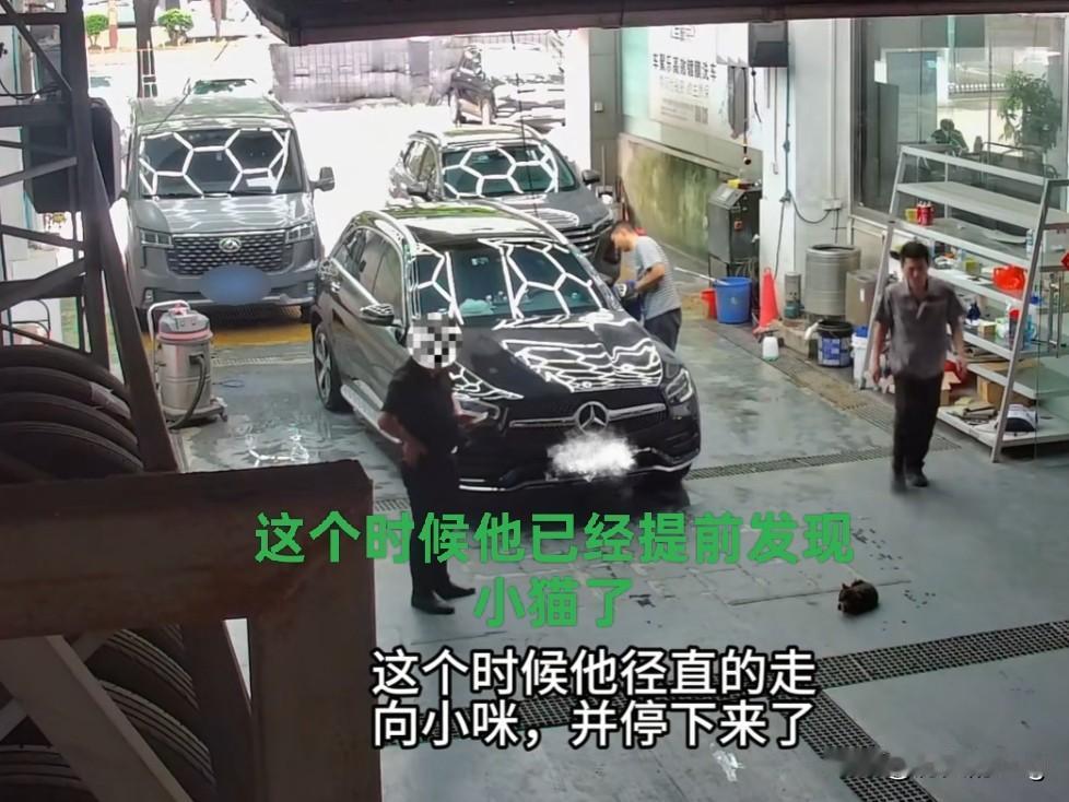 这就是天生的坏种！近日，广东一男子到洗车店内洗车，他明明看到地上躺着一只小猫